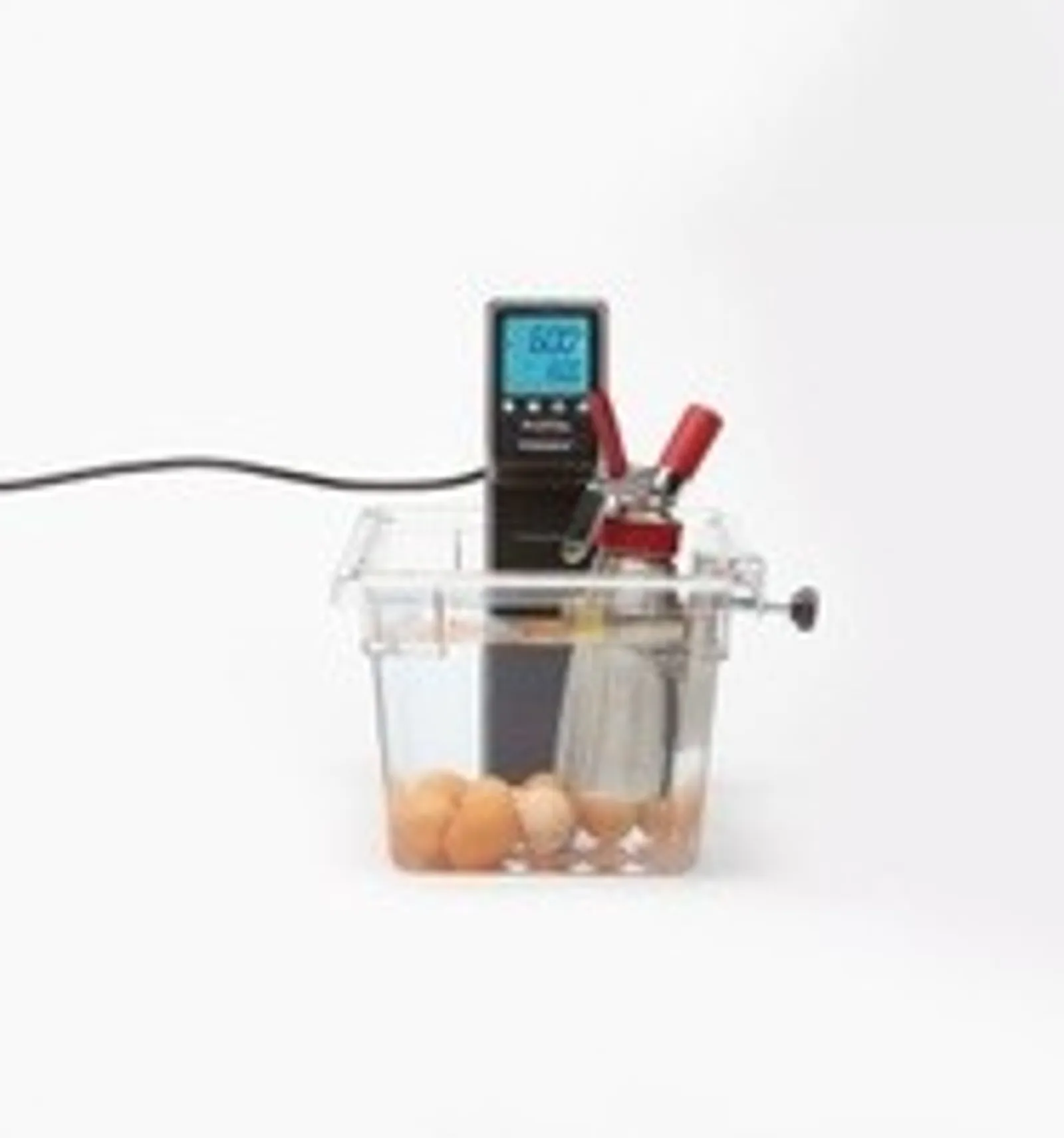 Sous Vide & Molecular Cooking