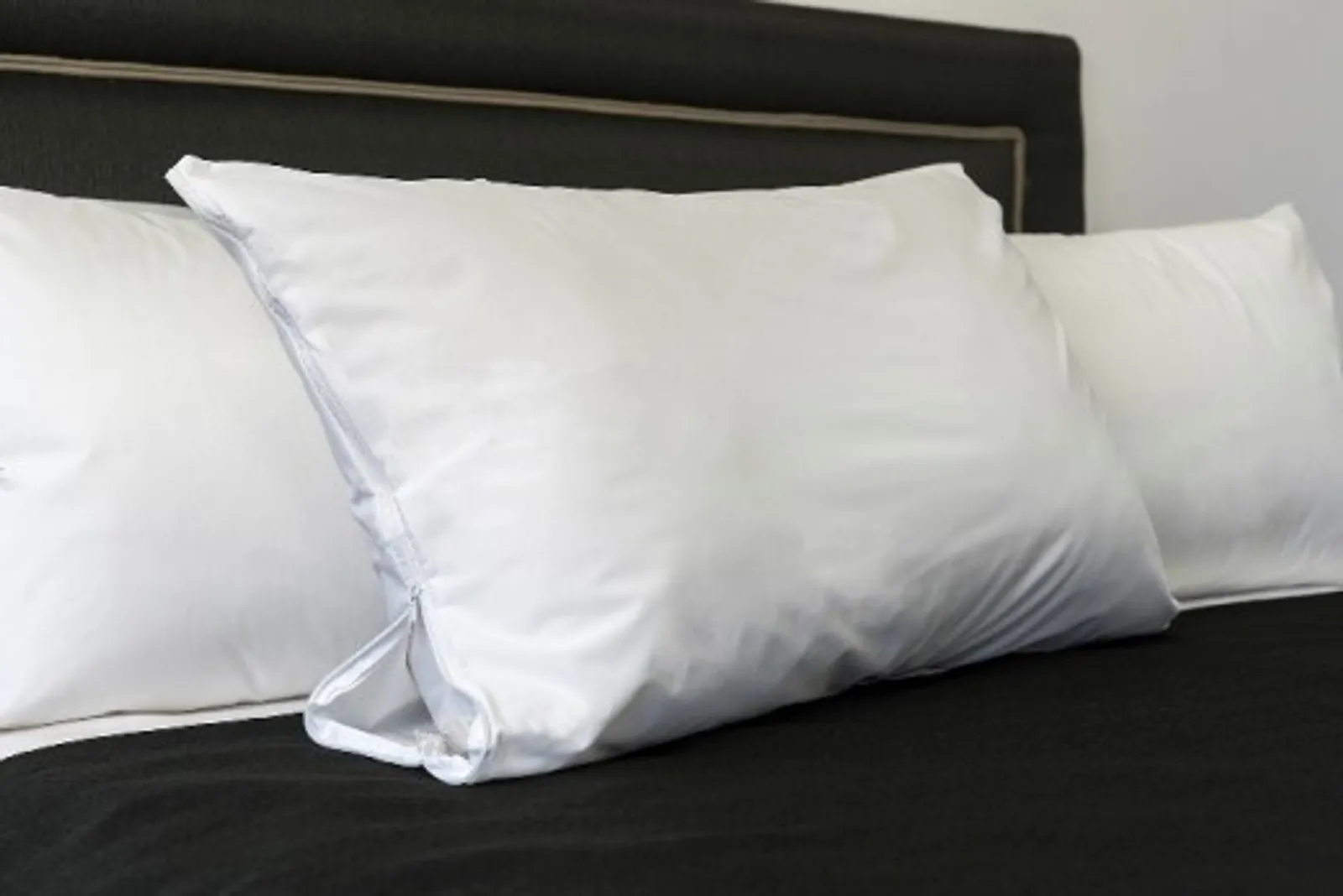 Alliance 17627 - Pillow Protector PU Waterproof 48x73