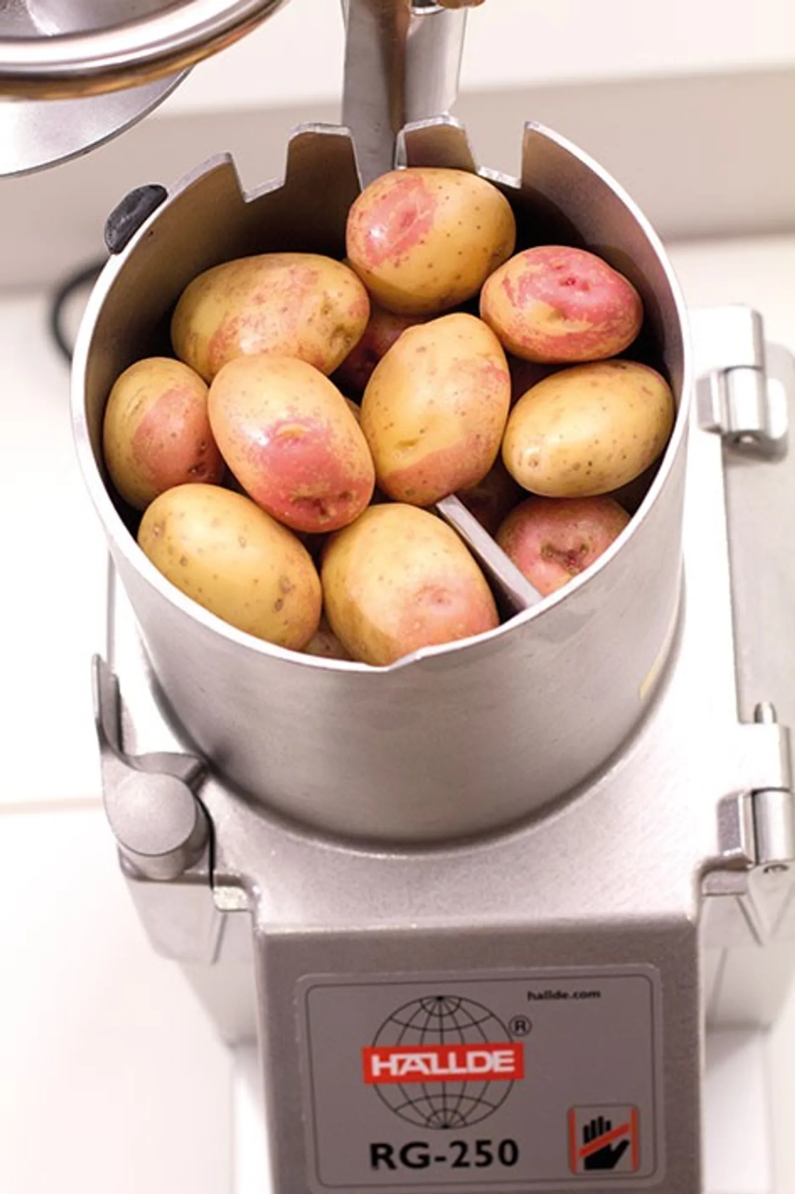 HALLDE  RG-250 Vegetable Preparation Machine