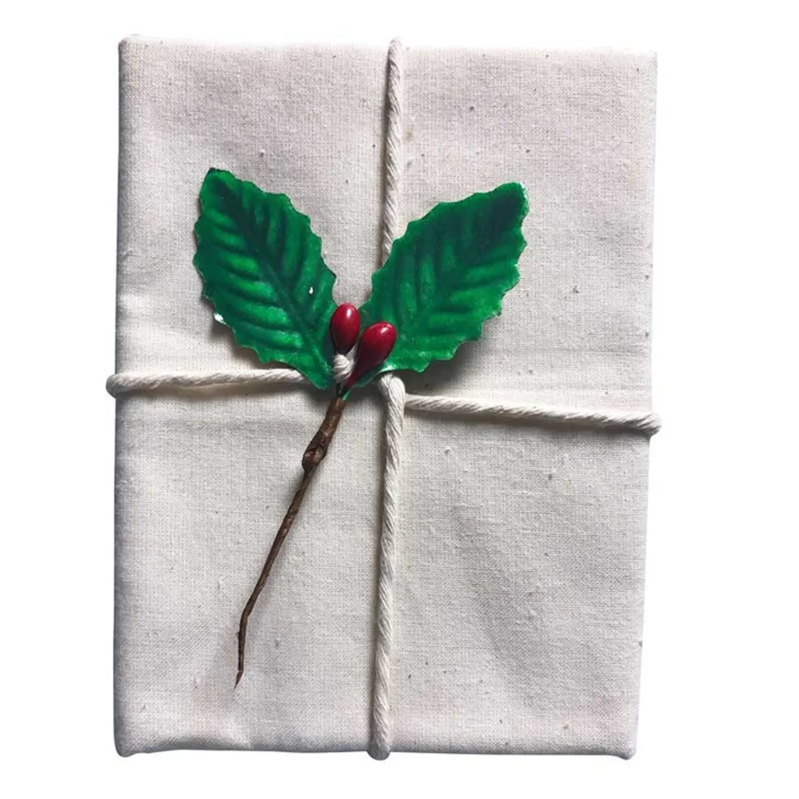Avanti 16622 - Pudding Cloth with String and Decoration