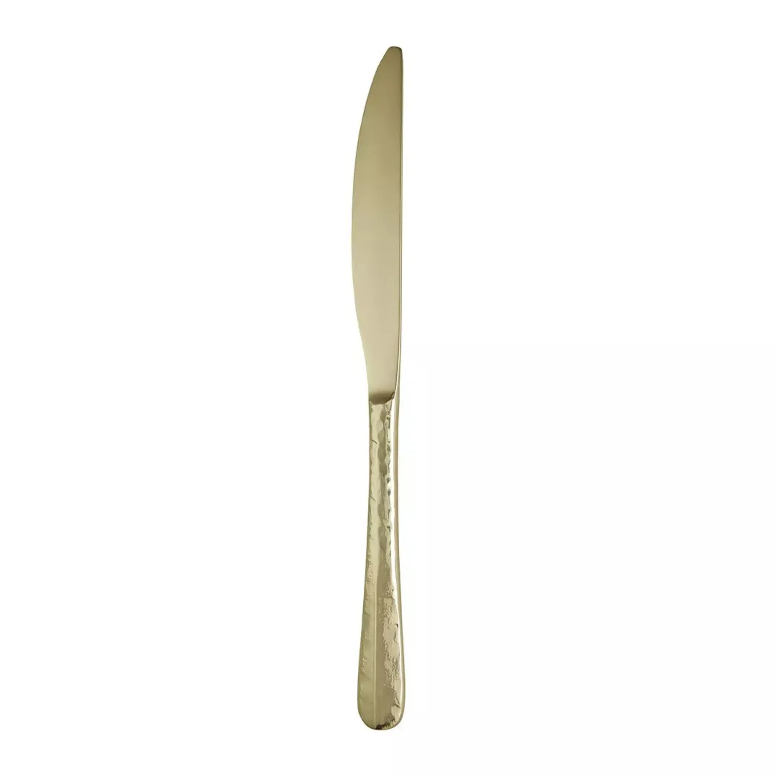 Trenton 158172 - Amsterdam Champagne Table Knife 240mm